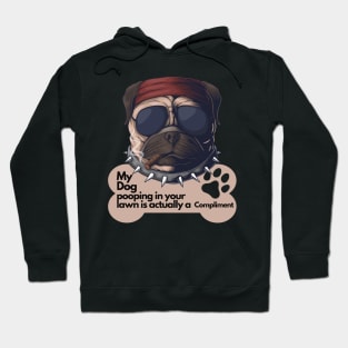 Sarcastic Dog Lover Design - My dog pooping in your lawn is actually a compliment Hoodie